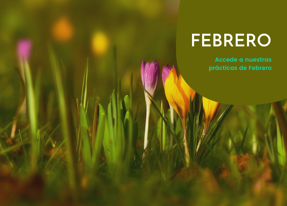 Febrero 2021