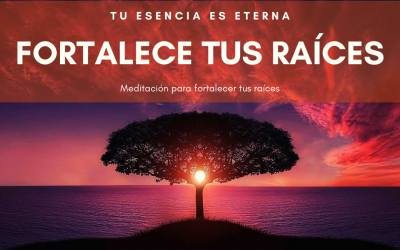 Fortalece tus raíces